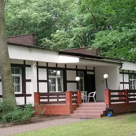 Hostel Dworek Osiecki Koral Osieki  외부 사진
